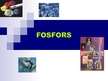 Presentations 'Fosfors', 1.