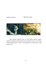 Research Papers 'Veras Hitilovas filmas "Margrietiņas" vizuālo elementu analīze', 12.
