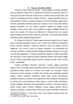 Research Papers 'Vietējās pašvaldības', 8.