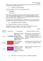 Research Papers 'AirBaltic uzņēmuma pētījums', 7.