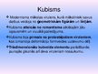 Presentations 'Kubisms', 3.