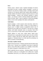 Essays 'Ekrāni un cilvēki: digitālo tehnoloģiju transformējošā loma mūsdienu sabiedrībā', 1.