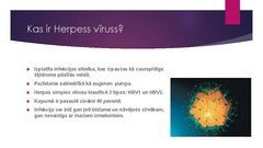 Presentations 'Herpess vīruss', 2.