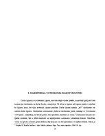 Term Papers 'Darba līguma uzteikuma regulējums Latvijā un citās Eiropas Savienības valstīs', 18.