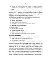 Term Papers 'Uzņēmuma "RB Galdnieks" mārketinga darbības analīze un mārketinga komunikāciju p', 33.
