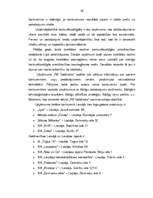 Term Papers 'Uzņēmuma "RB Galdnieks" mārketinga darbības analīze un mārketinga komunikāciju p', 36.