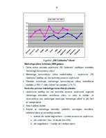 Term Papers 'Uzņēmuma "RB Galdnieks" mārketinga darbības analīze un mārketinga komunikāciju p', 58.
