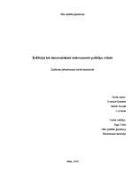 Research Papers 'Inflācija kā ekonomisks instruments politiķu rokās', 1.