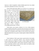 Research Papers 'Siltumizolācijas materiāli būvniecībā', 5.
