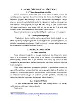 Business Plans 'Biznesa plāns - litija bateriju dzēšana', 4.