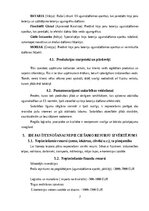 Business Plans 'Biznesa plāns - litija bateriju dzēšana', 7.