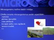 Presentations 'Mikrobioloģija', 5.