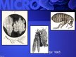 Presentations 'Mikrobioloģija', 11.