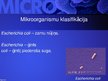 Presentations 'Mikrobioloģija', 22.