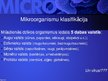 Presentations 'Mikrobioloģija', 23.