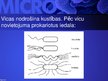 Presentations 'Mikrobioloģija', 29.