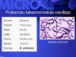 Presentations 'Mikrobioloģija', 33.
