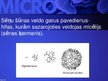 Presentations 'Mikrobioloģija', 43.