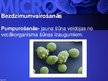 Presentations 'Mikrobioloģija', 49.
