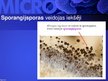 Presentations 'Mikrobioloģija', 51.