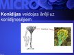 Presentations 'Mikrobioloģija', 53.