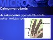 Presentations 'Mikrobioloģija', 56.