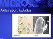 Presentations 'Mikrobioloģija', 59.