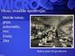 Presentations 'Mikrobioloģija', 96.