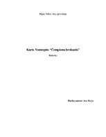Summaries, Notes 'Kurts Vonnegūts "Čempionu brokastis"', 1.