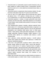 Research Papers 'Grāmatvedības datorizācija un tās iespējas Latvijā', 29.