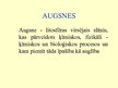 Presentations 'Augsne', 1.