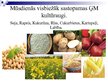 Presentations 'Augu ģenētiskā modificēšana', 6.