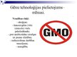 Presentations 'Augu ģenētiskā modificēšana', 10.