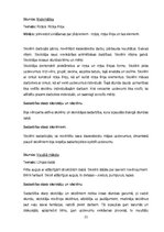 Practice Reports 'PEDAGOĢISKĀ PROCESA VĒROJUMU PRAKSE pirmsskolā un sākumsskolā', 21.