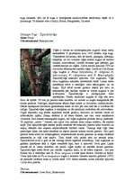 Research Papers 'Mitro tropu mežu raksturojums, kartējums', 10.