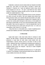 Research Papers 'Dabas parādības - polārblāzma un zibens', 7.