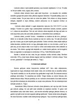 Research Papers 'Dabas parādības - polārblāzma un zibens', 9.