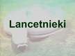 Presentations 'Lancetnieki', 1.