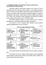 Term Papers 'Tirdzniecības uzņēmuma vadības sistēmas pilnveidošanas mehānismi uz uzņēmējdarbī', 47.
