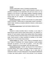 Term Papers 'Ārzonu kompāniju izmantošana starptautiskajā komercdarbībā: ārzonu tirdzniecības', 41.