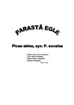 Research Papers 'Parastā egle', 1.