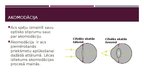 Presentations 'Optiskais instruments - acs', 6.