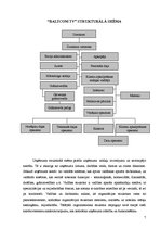 Research Papers '"Baltcom TV" organizatoriskā struktūra un personālvadības galvenās vadlīnijas', 7.