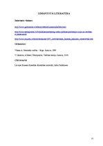 Research Papers '"Baltcom TV" organizatoriskā struktūra un personālvadības galvenās vadlīnijas', 13.