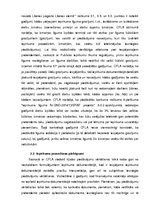 Term Papers 'Aktuālās problēmas pašvaldību publisko iepirkumu praksē', 33.