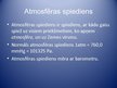 Presentations 'Laika apstākļu prognozēšana', 5.