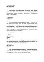 Research Papers 'Funkcionālisma arhitektūra Latvijā', 20.