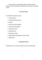Presentations 'Kvalifikācijas prakses pārskats - automehāniķis', 5.