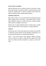 Essays 'Komandu sports skolā: sadarbība, sociālās prasmes un akadēmiskā izaugsme', 2.