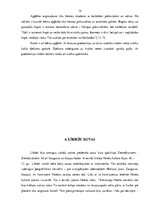 Research Papers 'Baltu un lībiešu vidējā un vēlā dzelzs laikmeta rotas', 14.
